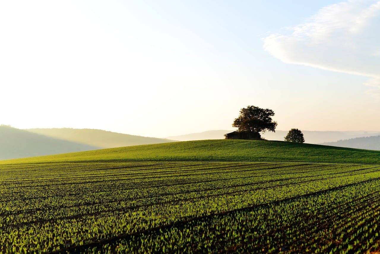 landscape, field, challenges of owning a home with land